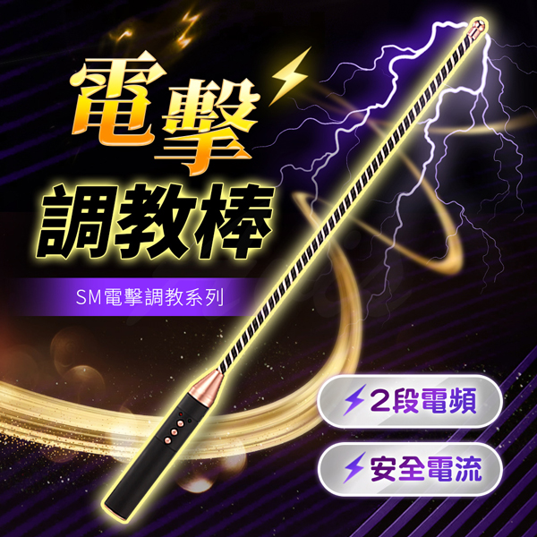 SM情趣電擊調教棒.皮拍.皮鞭★